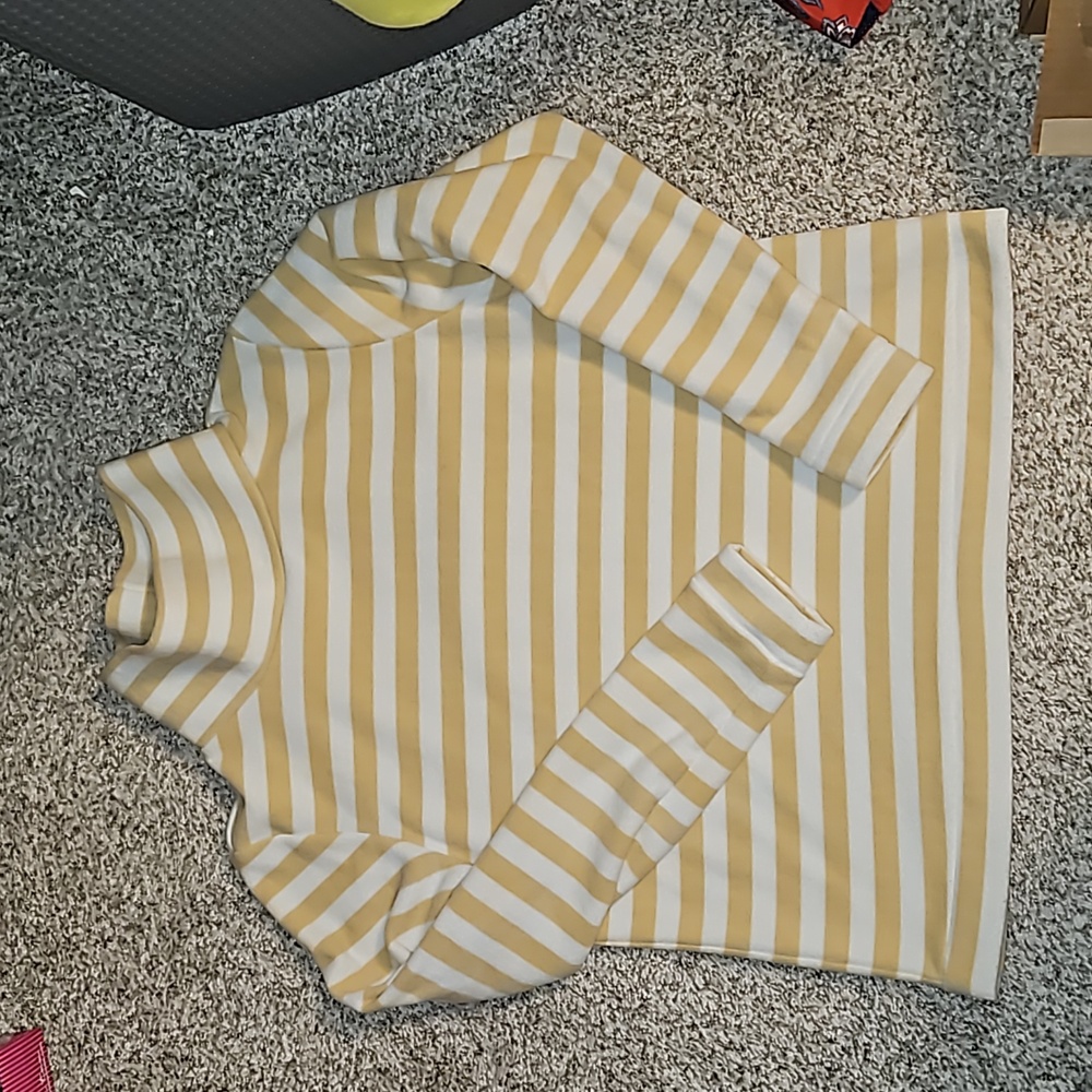 Dudley Steven's park slope turtleneck